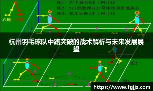 球速体育平台入口