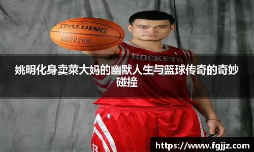 球速体育平台入口