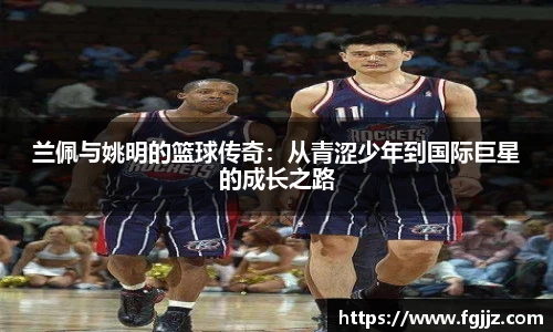 球速体育平台入口