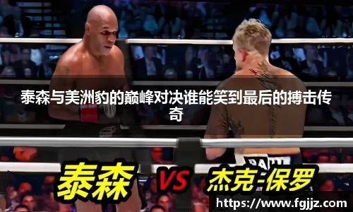 球速体育平台入口