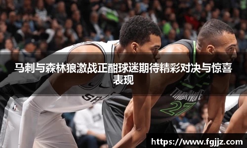 球速体育平台入口