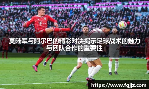 球速体育平台入口