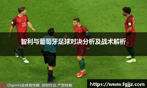 球速体育平台入口
